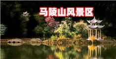 操捅逼