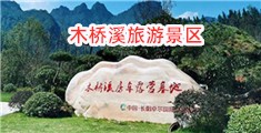 男插女视频大全免费