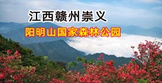 男生日女生的逼视频